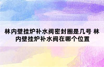 林内壁挂炉补水阀密封圈是几号 林内壁挂炉补水阀在哪个位置